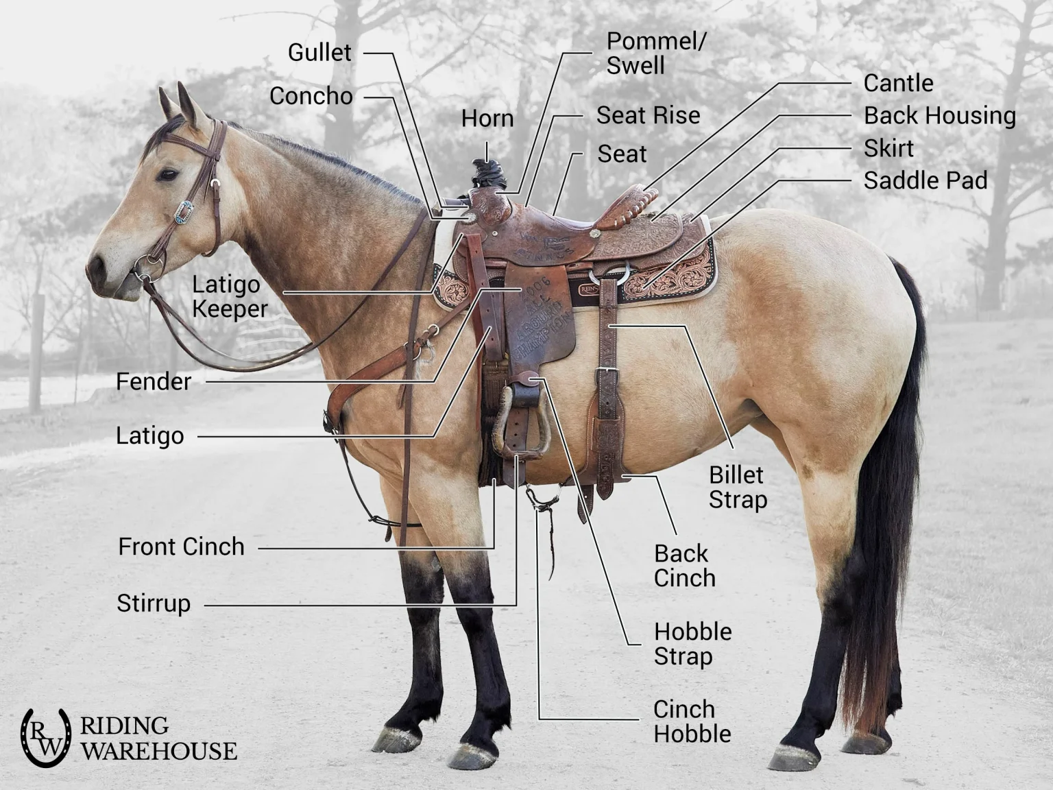 Types of Western Saddles and Their Purpose